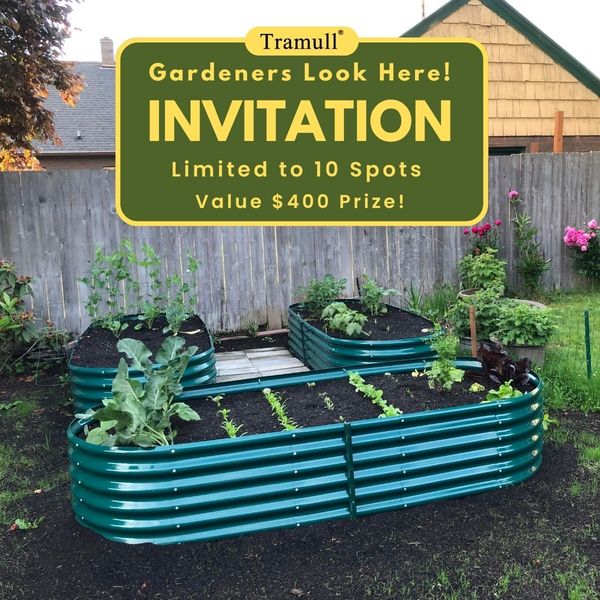 Grow with Tramull Garden