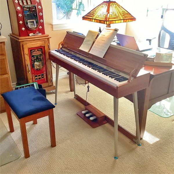Donner DDP-80 PLUS Wooden 88 Key Weighted Digital Piano with Cover ad creative
