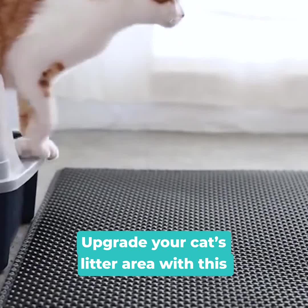 Litter Mat – Merkada 广告素材