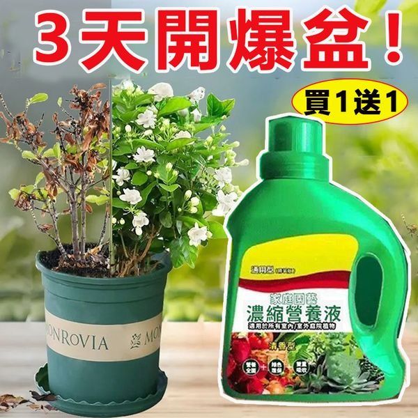 【節日豪禮特惠限時贈送三件套盆栽小鏟子】通用型 家用植物營養液,無效退全款!【限時免運費,貨到付款】 – 貨到付款 免運費 7天艦賞期