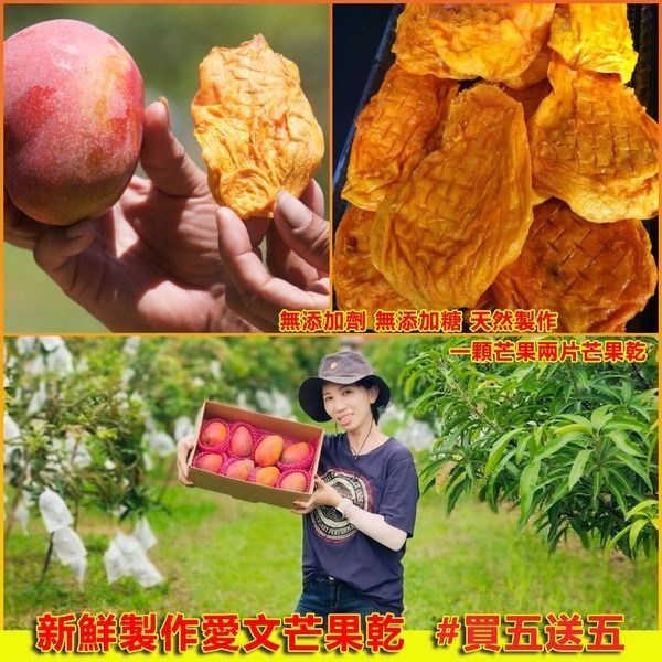 【玉井直出】超好吃的愛文芒果乾,買2送1/買5送5,無糖無添加 – XFCART