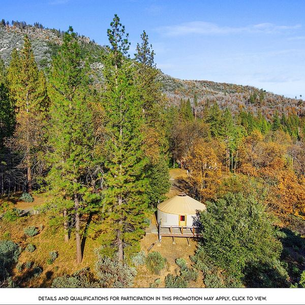 Thousand Trails Cabin Pass | Annual Cabin Rental Membership for One Low Price 广告素材