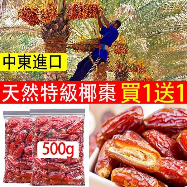 【中東進口】(買一送一 500公克大包裝)阿聯酋天然椰棗,潤肺止咳,滋陰補腎,0膽固醇0脂肪,低鈉,豐富維生素,藥用價值極高! – 貨到付款 免運費 7天艦賞期