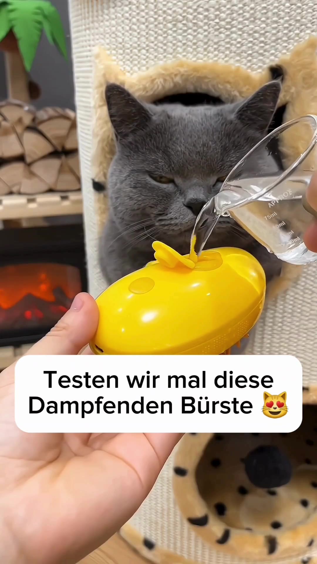 Dampfende KatzenbÃ¼rste | Haustierzauber