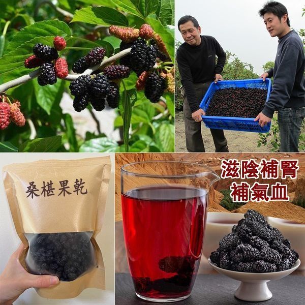 【屏東有機桑葚乾，低至$189/組 】無添加糖，純手工日曬，護眼明目 駐顏抗衰老、健脾胃、補肝腎、補腦益智、美白烏髮、防癌、增強免疫力、諸多功效 – 貨到付款 免運費 7天艦賞期
