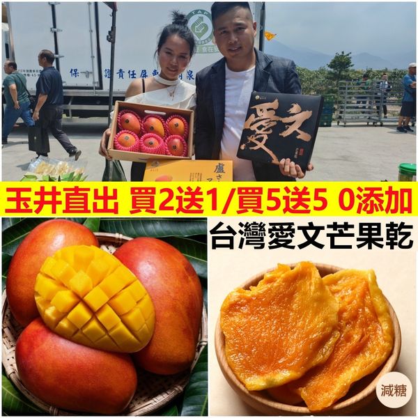 【玉井直出】超好吃的愛文芒果乾,買2送1/買5送5,無糖無添加 – XFCART