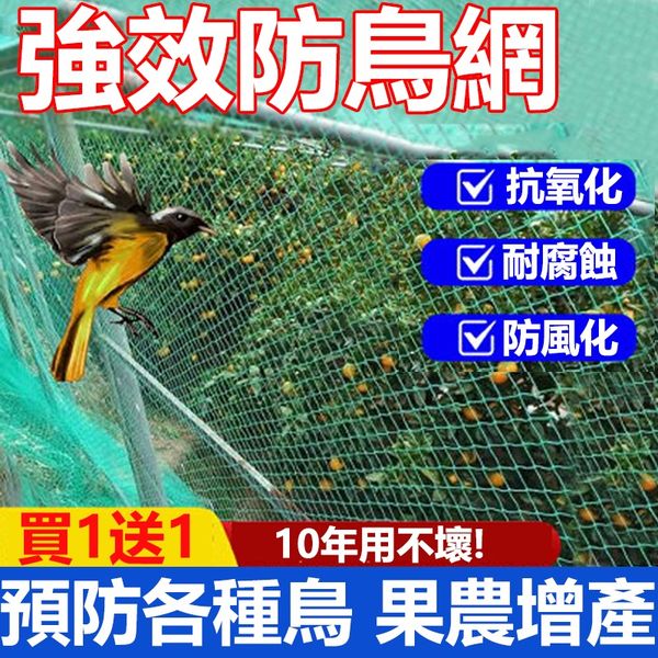 【2024新款】 告別白吃鳥！植保防鳥網限時買1送1，十年不壞，強力防鳥、杜絕煩惱~
