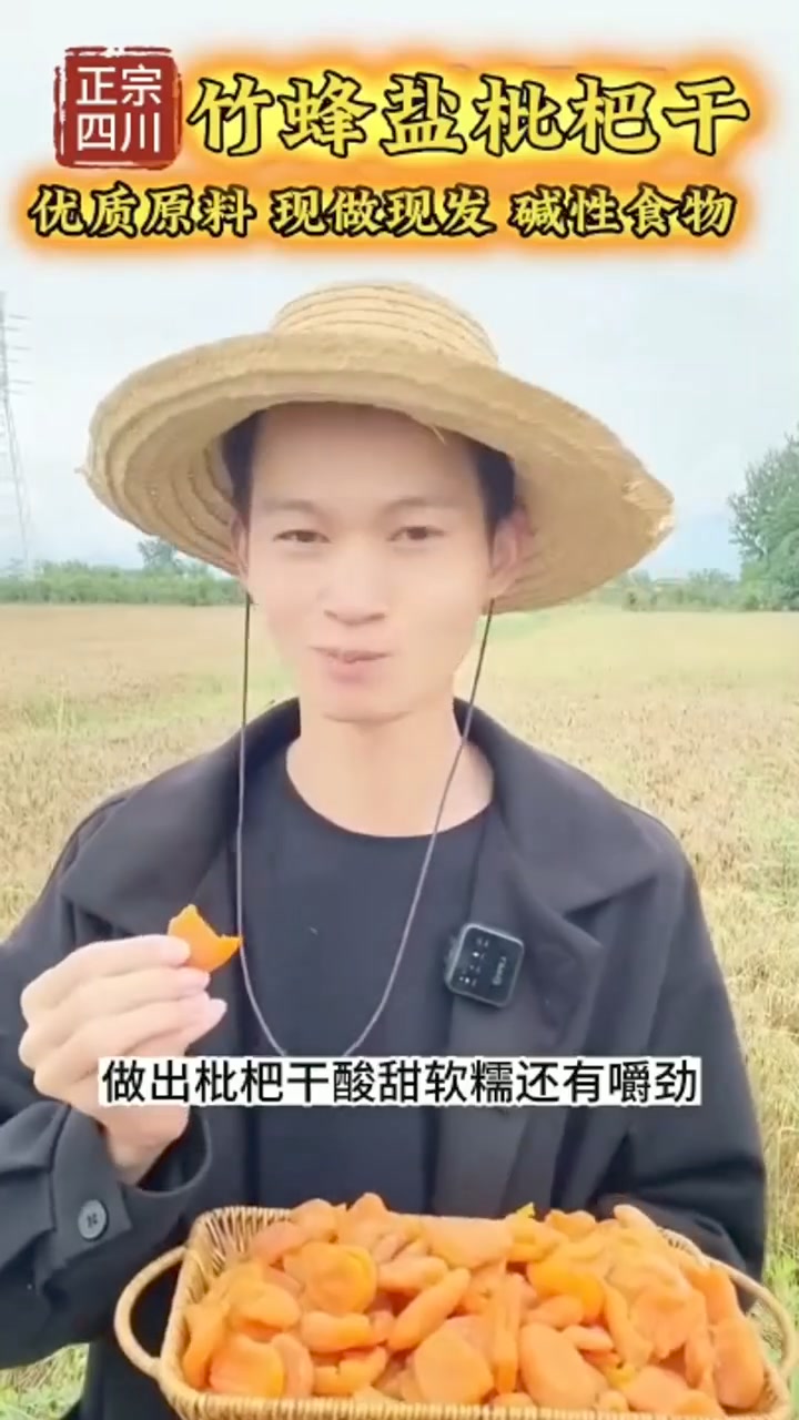 竹蜂鹽枇杷果干 火爆熱銷中！台灣本土出貨！24小時在線客服，售後無憂！現在下單享受在線支付立減活動！ – XFCART