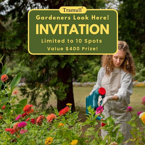 Tramull Garden