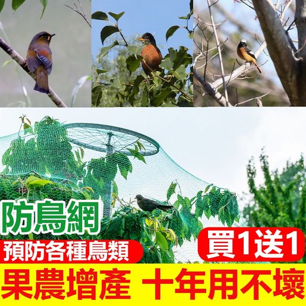 【2024新款】 告別白吃鳥！植保防鳥網限時買1送1，十年不壞，強力防鳥、杜絕煩惱~