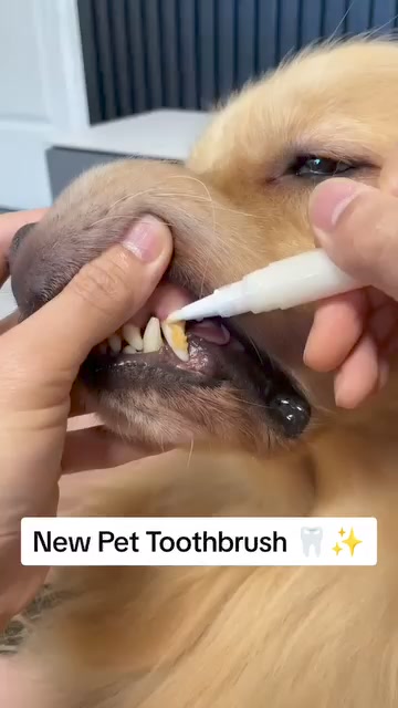 Pet Toothbrush Pen™ 广告素材