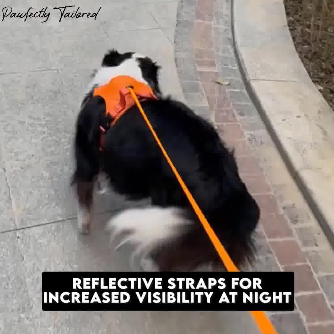 PawfectlyTailored Leash