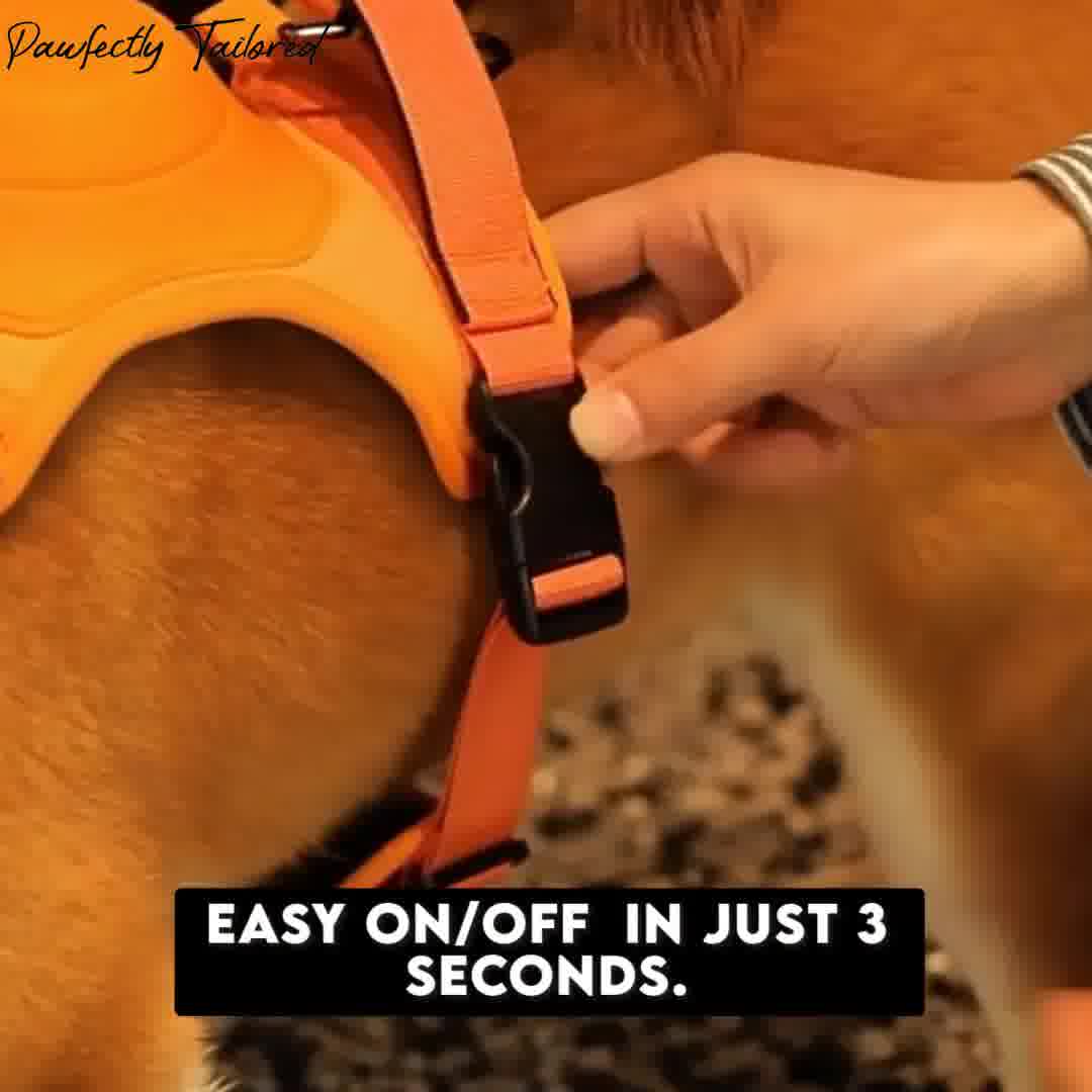 PawfectlyTailored Leash