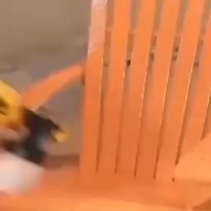 Cordless Paint Sprayer for DeWALT Battery