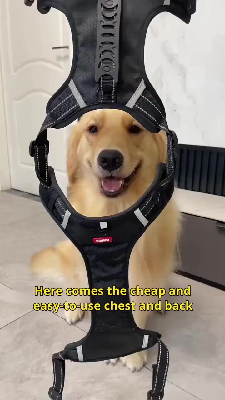 🐕No Pull Dog Harness for Pets