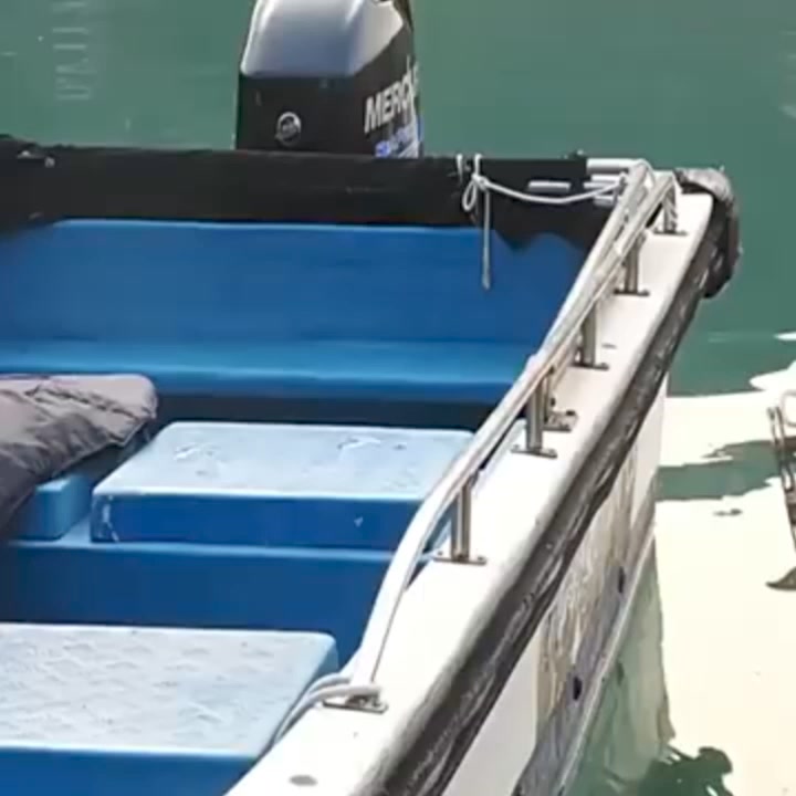 🔥FATHER'S DAY SALE - Telescoping Automatic Boat Dock Hook