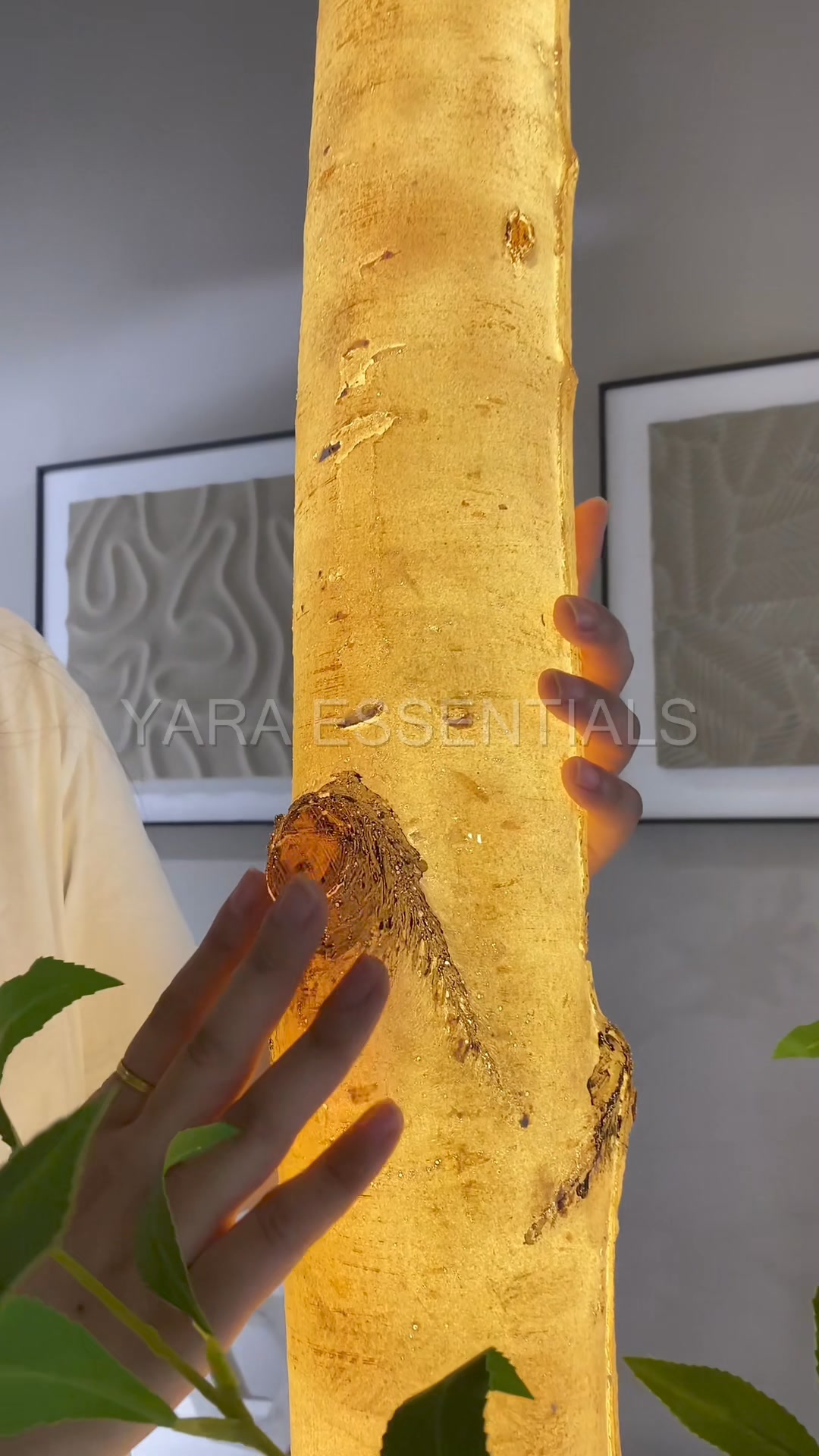 Ambient Birch Trunk, Illuminate with Elegance (2024) – YARA ESSENTIALS