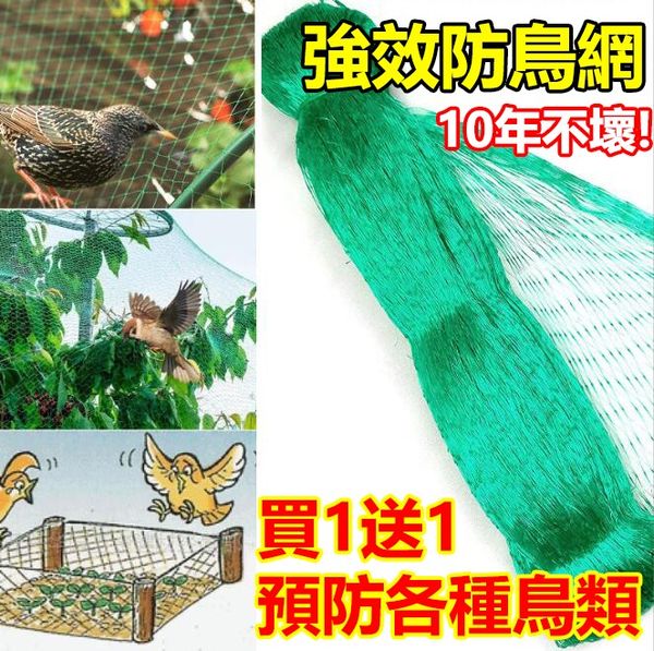 【2024新款】 告別白吃鳥！植保防鳥網限時買1送1，十年不壞，強力防鳥、杜絕煩惱~