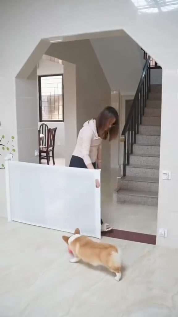 Portable Kids & Pets Safety Door Guard