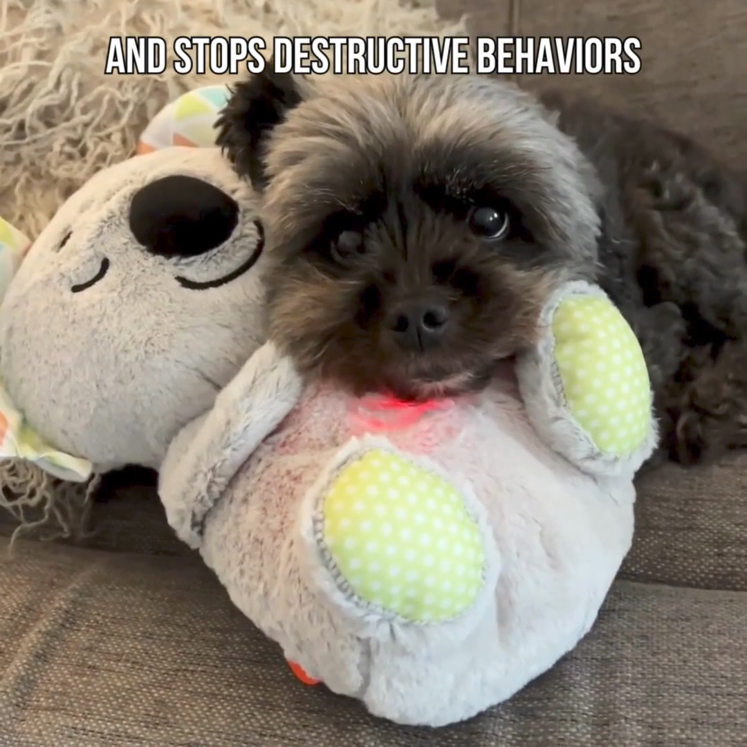 Calm & Comfort Your Pet – Pawsome Dreamland 广告素材