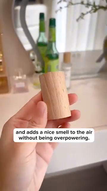 Wood Diffuser 广告素材