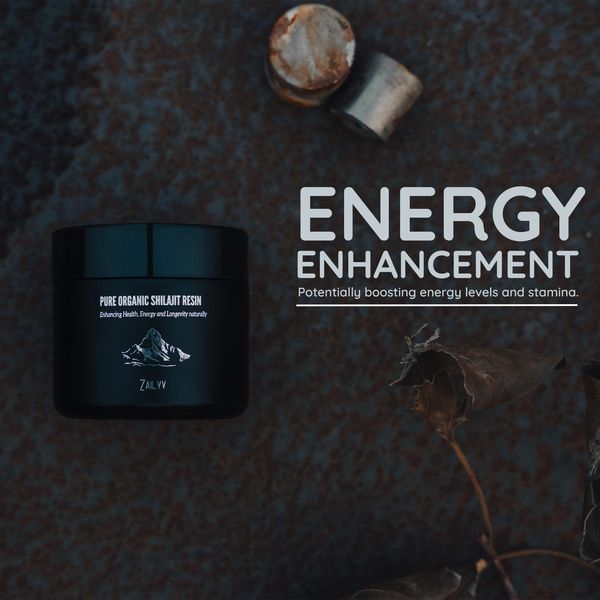 Pure Organic Himalayan Shilajit Resin | Lab-Tested & Organic | BUY NOW – ZAILYY us