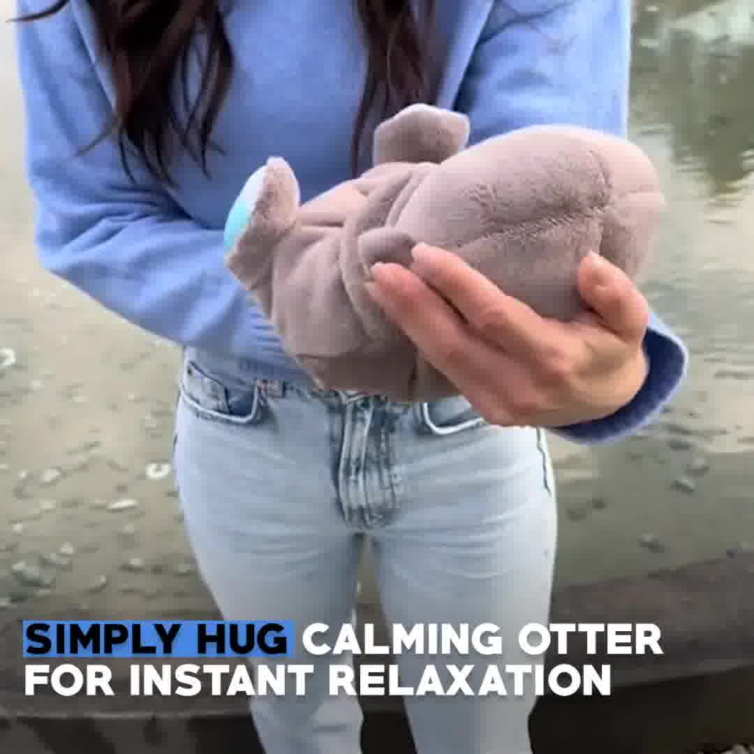 Serenity Snooze Otter Pal – The Fun Stuff Store 广告素材