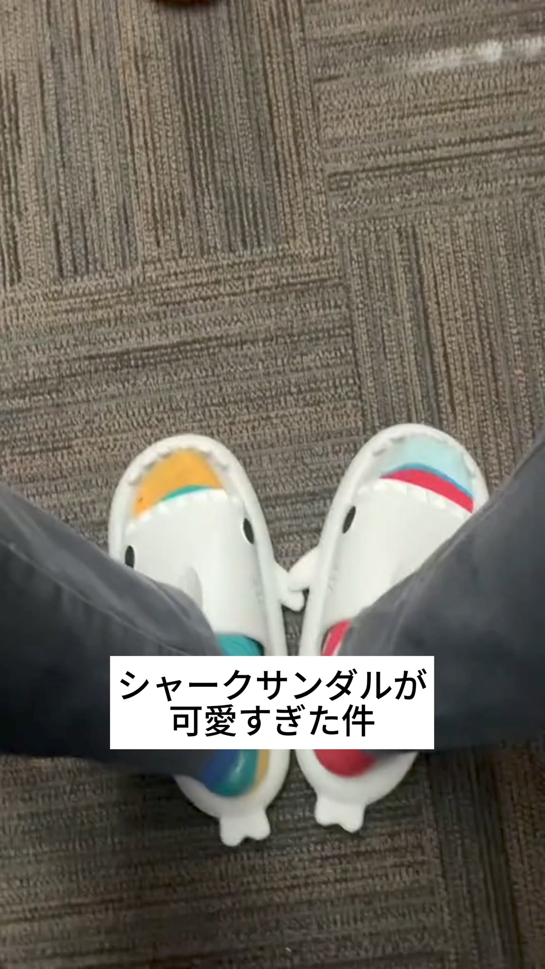 シャークサンダル – importcommune 广告素材