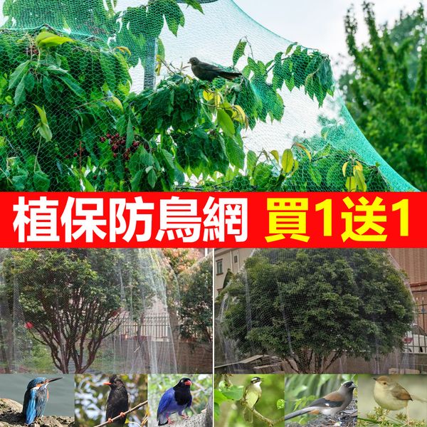 【2024新款】 告別白吃鳥！植保防鳥網限時買1送1，十年不壞，強力防鳥、杜絕煩惱~