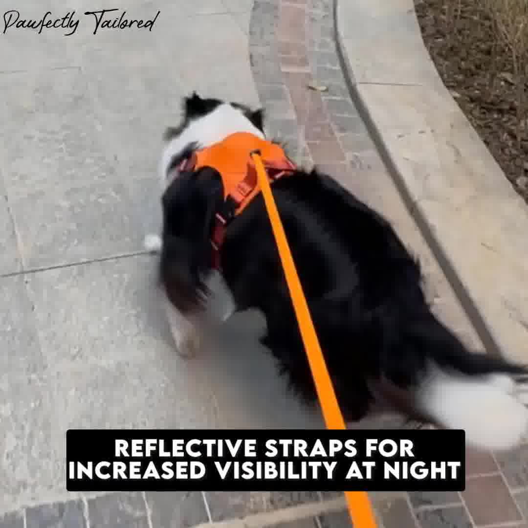 PawfectlyTailored Leash