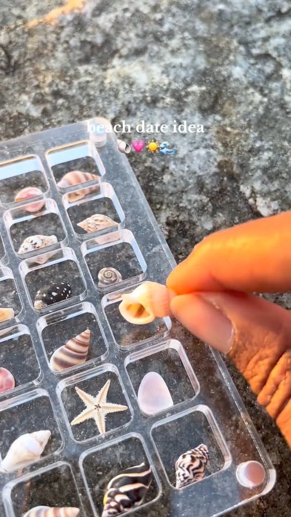Acrylic Magnetic Seashell Display Box- Buy 2 Free Shipping