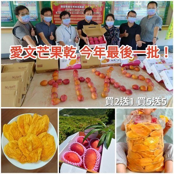 【玉井直出】超好吃的愛文芒果乾,買2送1/買5送5,無糖無添加 – XFCART 广告素材