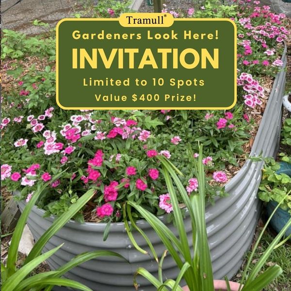 Grow with Tramull Garden