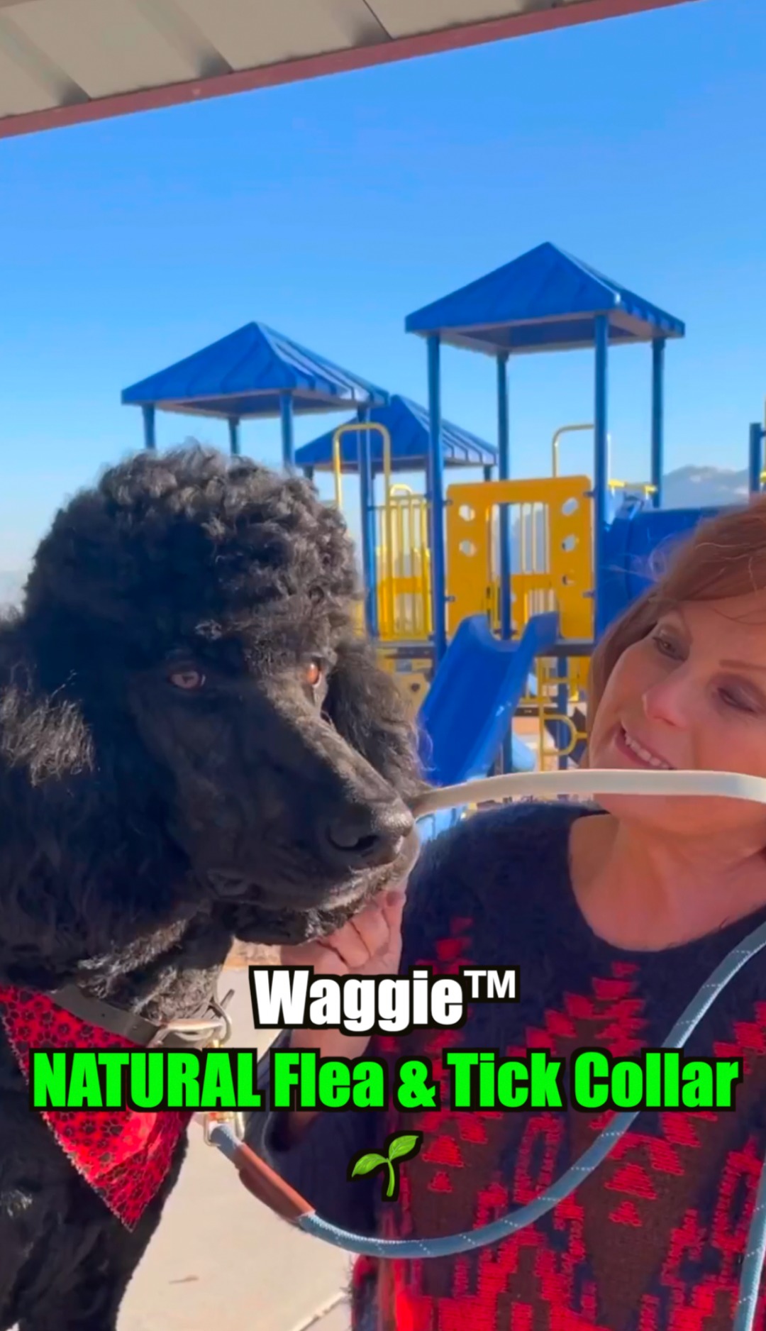 Waggie⢠- Natural Anti-Flea, Tick, & Mosquito Collar (Safest 8+ Months – Winkflo
