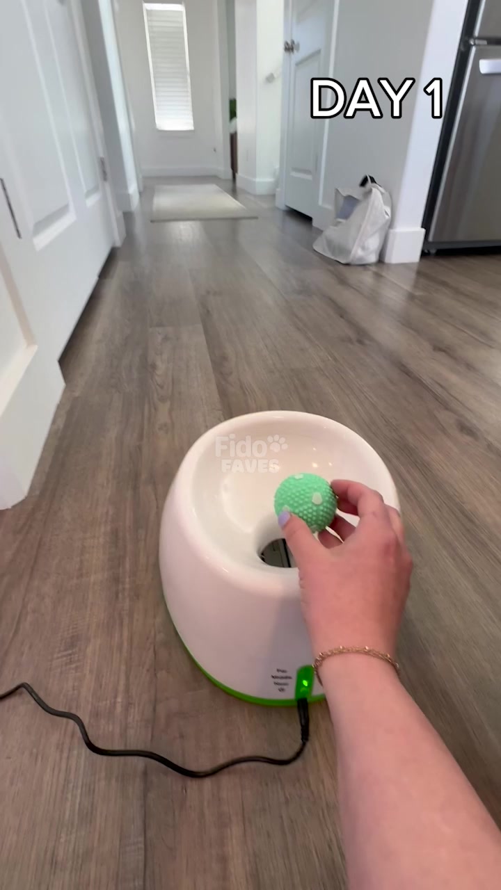 Fido Automatic Ball Launcher – FidoFaves 广告素材