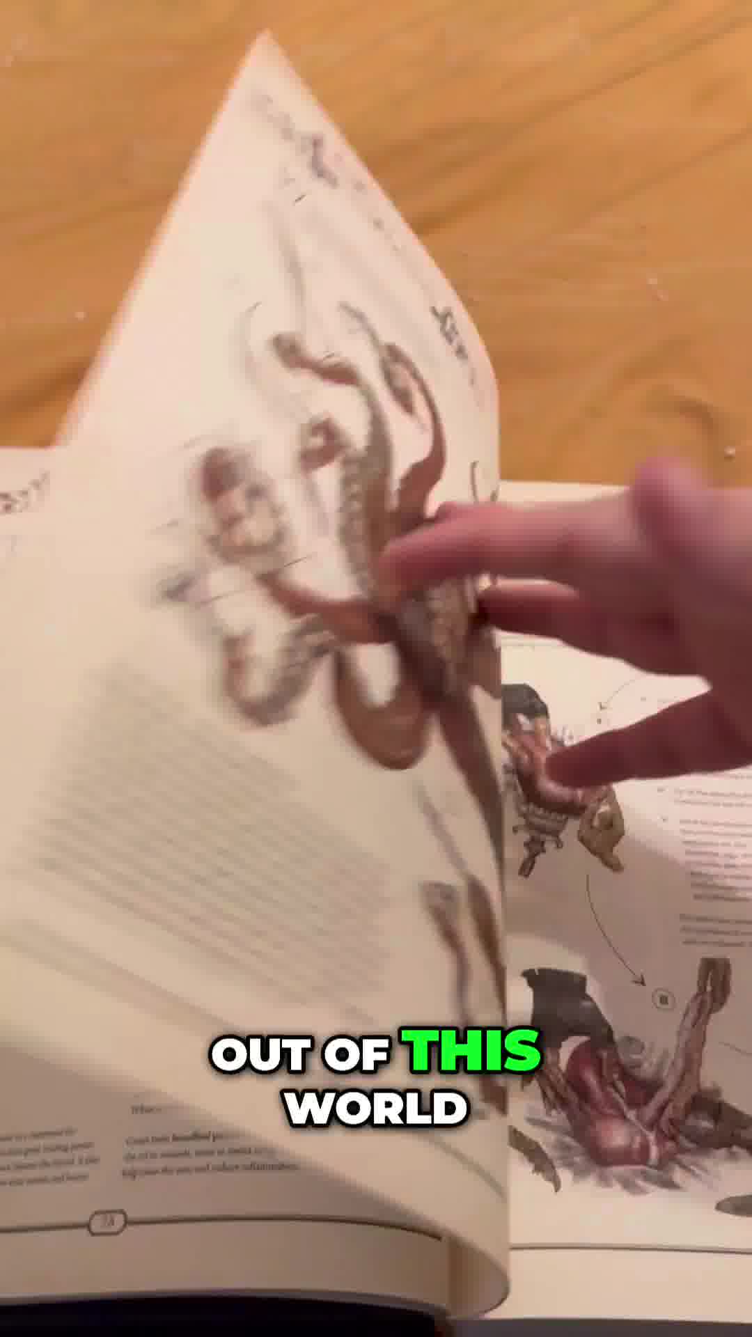 The Book: Ultimate Guide 广告素材