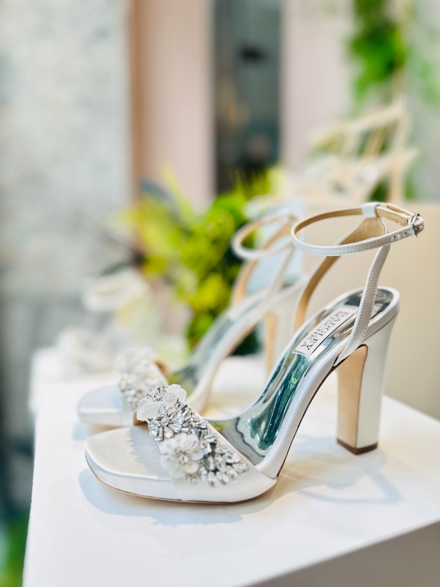 Anna Walker – Anna Walker Store 广告素材