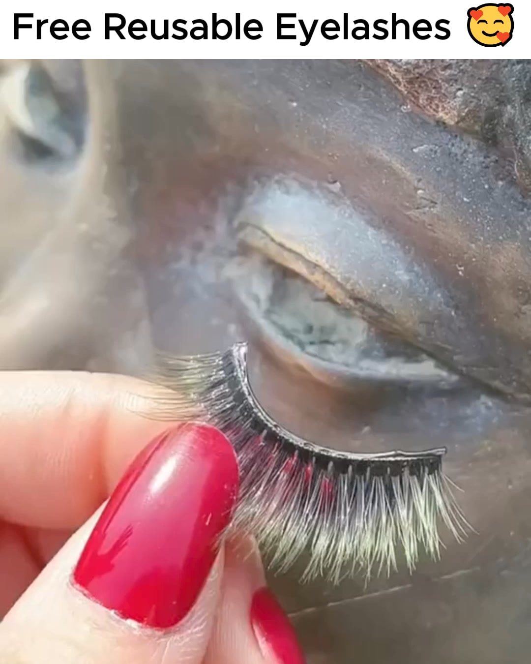Vintara Reusable Eyelashes (Free Today) 广告素材