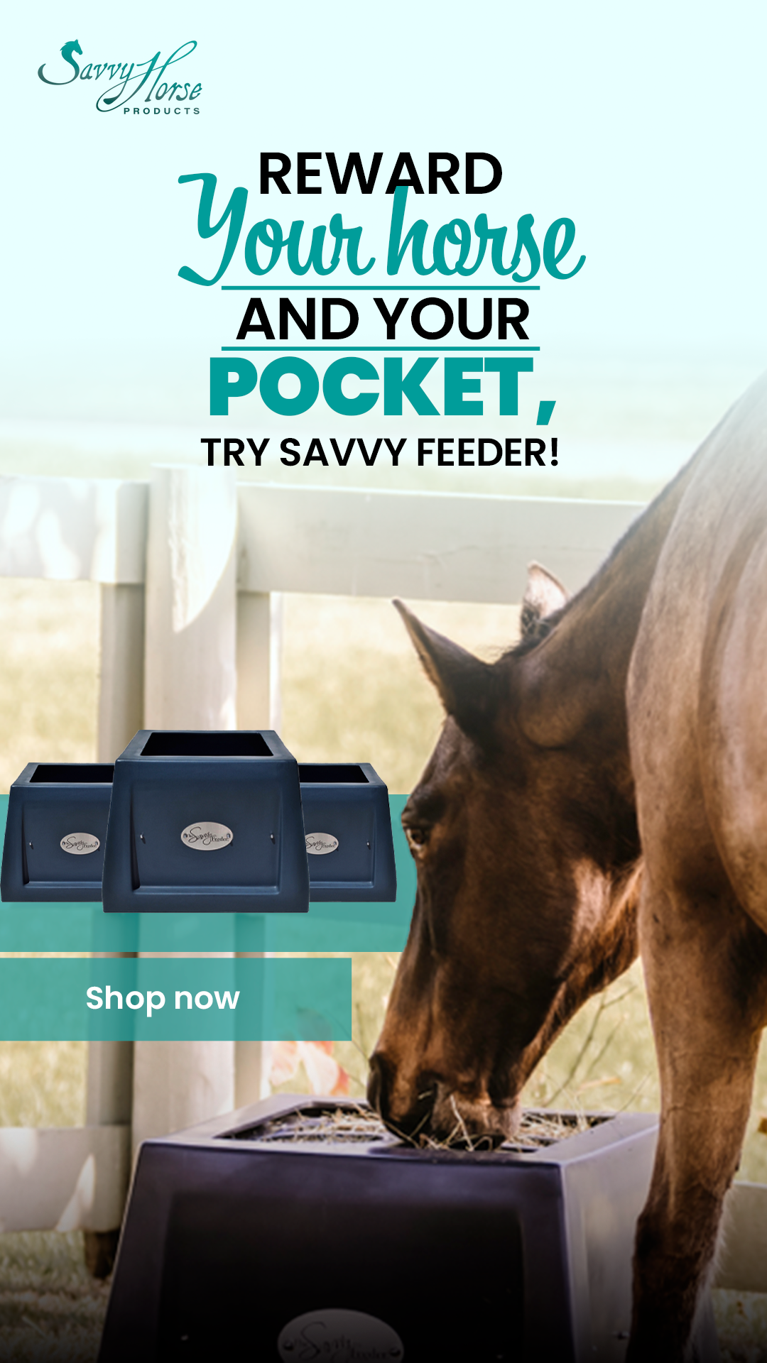 The Best Slow Hay Feeder – Savvy Horse Products 广告素材