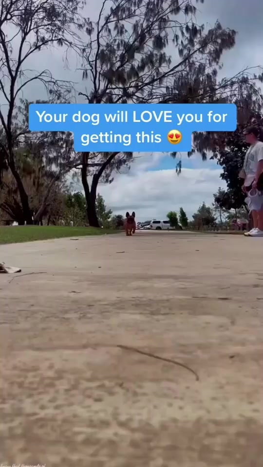 Dog Cooling Vest ad creative