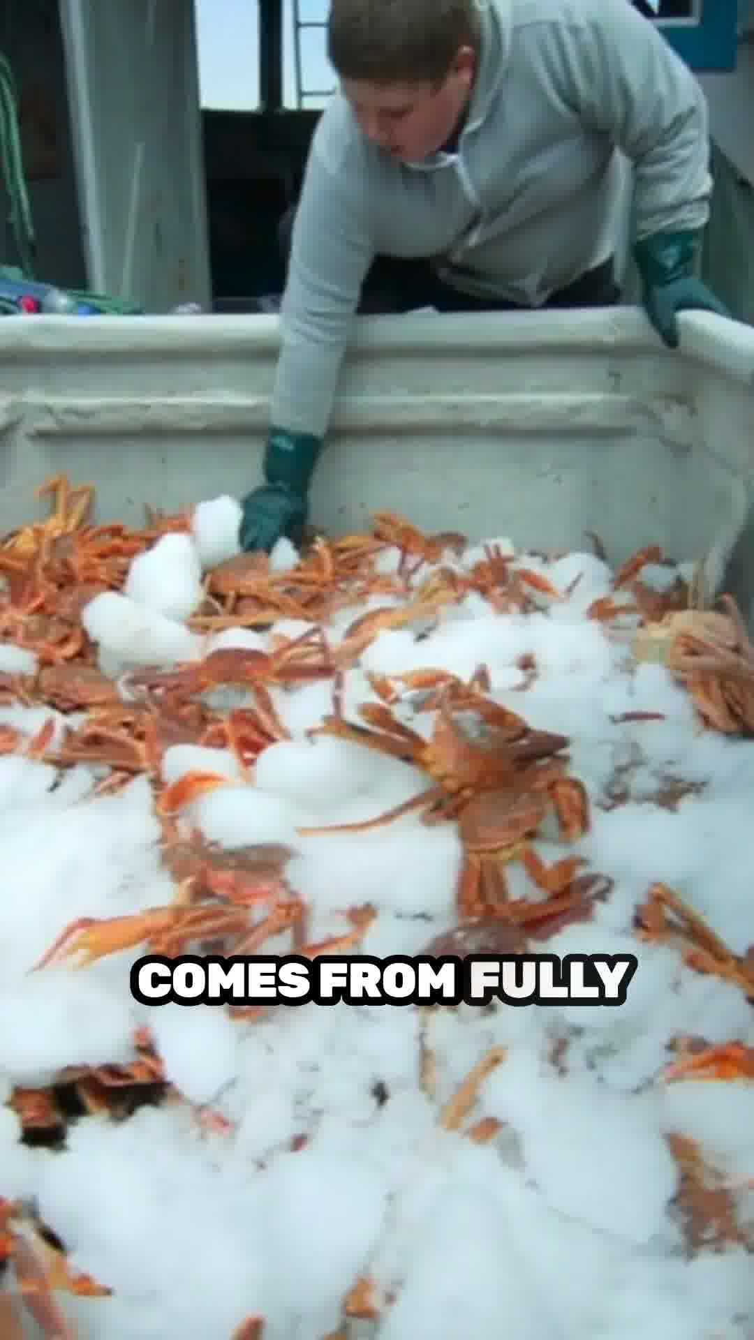 PrimeFish Seafood Co: The Luxury Seafood Experience | PrimeFish Seafood Co. 广告素材