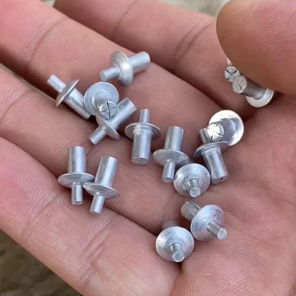 Drive Rivets (50/100/200 PCS) 广告素材