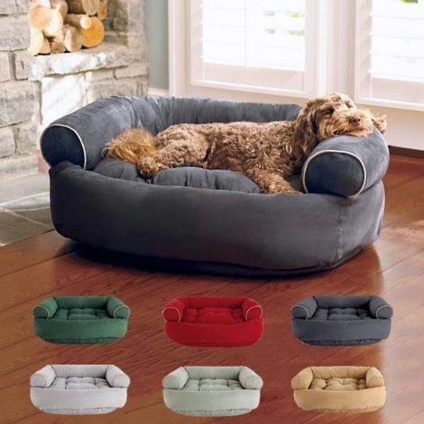🔥 Promotion 49% OFF - Sofa Dog Bed 广告素材