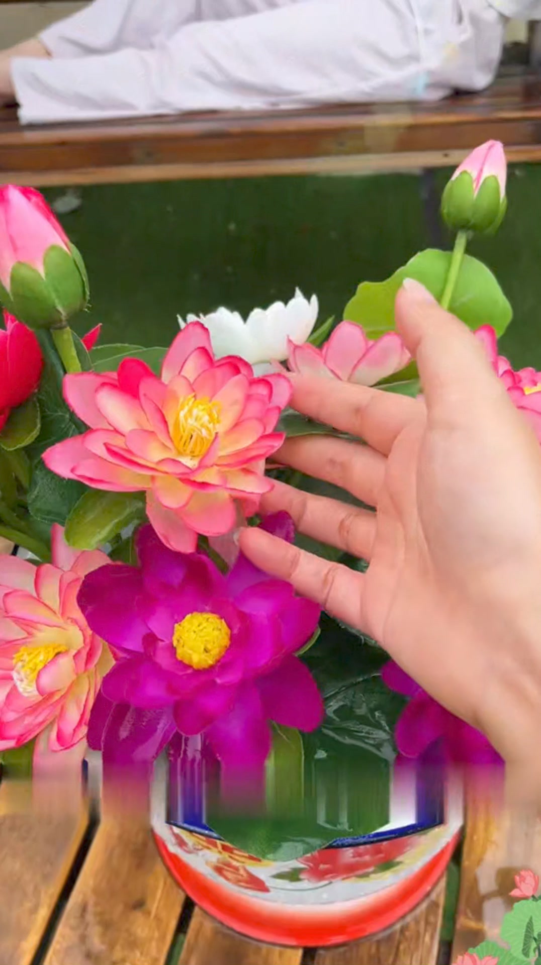 🌸【7 days germination】Last Day Sale - 50% OFF💐The Sacred Bonsai Bowl 广告素材
