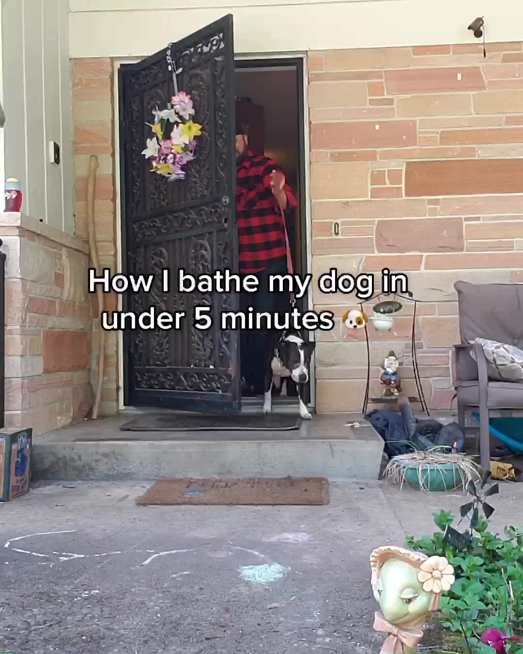 The Pup Jet | Dog Washer Attachment ad creative