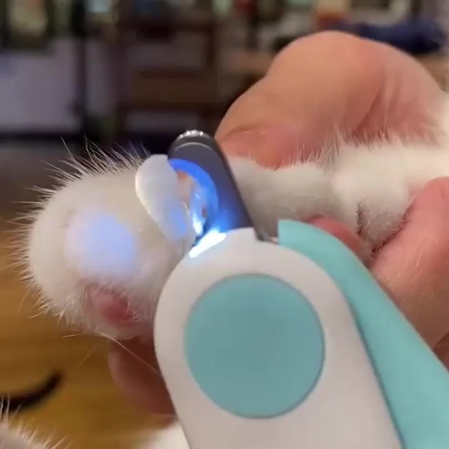 LED Pet Nail Clipper ad creative