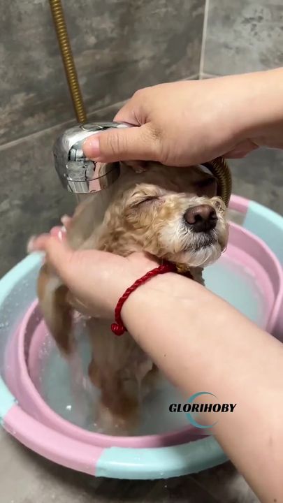 💥Spring Hot Sale💥 🧼🧼Bathroom 🐶Horse Dog Cat🐱 Bath Brush Massage Gloves Soft Safety Silicone Comb Pet Accessories❤️ 广告素材