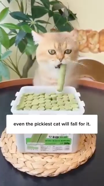 💥Cat Grass Teething Sticks 广告素材