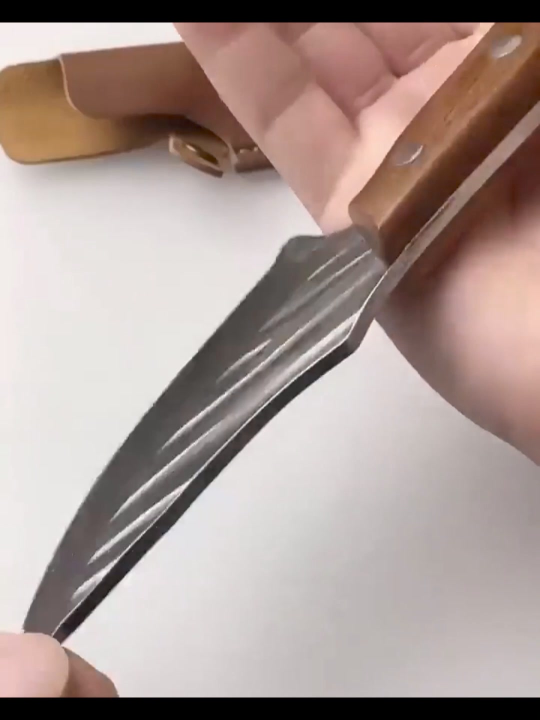 🛸Premium Butcher Knife ad creative