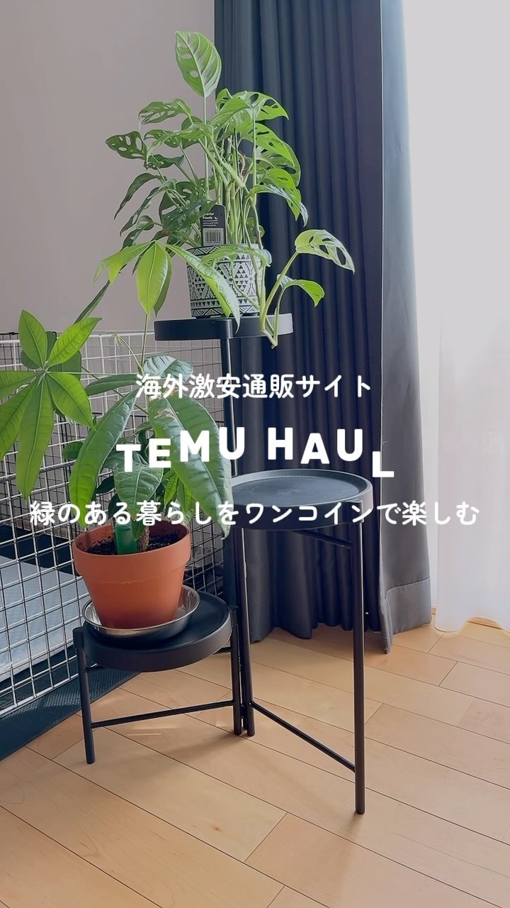 Temu | Explore the Latest Clothing, Beauty, Home, Jewelry & More 广告素材
